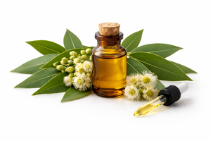 Eucalyptus Oil